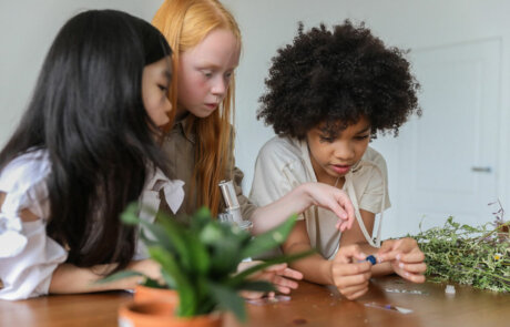 Three girls with microscope looking at plants